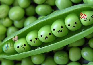 豌豆隔夜能吃嗎？豌豆可以隔夜吃嗎？