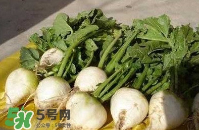 芥菜疙瘩孕婦能吃嗎？孕婦可以吃芥菜疙瘩嗎