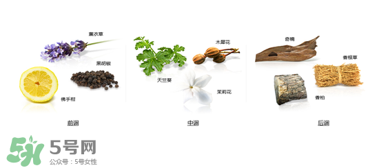郎朗香水是什么牌子？郎朗香水是什么檔次？