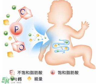kabrita佳貝艾特羊奶粉怎么樣？kabrita佳貝艾特羊奶粉好不好？