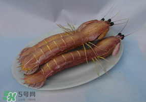 皮皮蝦死了還能吃嗎？皮皮蝦死了多久還能吃？
