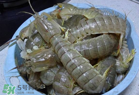 皮皮蝦死的怎么清洗？死的皮皮蝦怎么清洗？