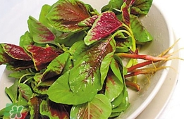 莧菜怎么吃？莧菜怎么炒