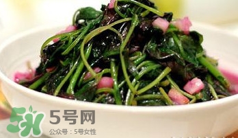 莧菜怎么吃？莧菜怎么炒