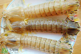 蝦爬子多少錢(qián)一斤？2017蝦爬子價(jià)格