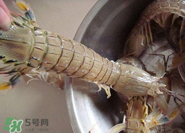 皮皮蝦可以放冰箱嗎？皮皮蝦能放冰箱保存嗎？