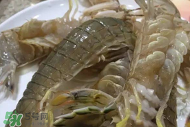 皮皮蝦可以放冰箱嗎？皮皮蝦能放冰箱保存嗎？
