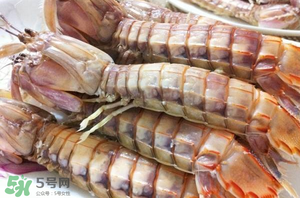 皮皮蝦黃能吃嗎？皮皮蝦黃的營養(yǎng)價(jià)值