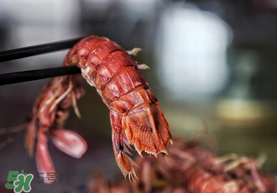 熟皮皮蝦隔夜還能吃嗎？煮熟的皮皮蝦隔夜能吃嗎？