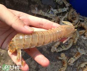 ?皮皮蝦發(fā)綠能吃嗎？?皮皮蝦變綠了還能吃嗎？
