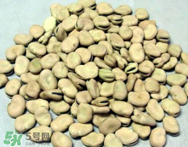 蠶豆長(zhǎng)蟲還能吃嗎？蠶豆怎么保存不長(zhǎng)蟲？