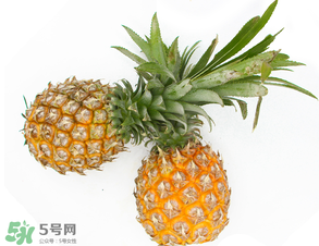 皮皮蝦和菠蘿能一起吃嗎？吃完皮皮蝦能吃菠蘿嗎？
