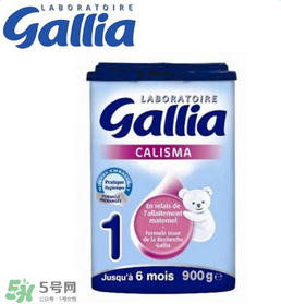 gallia佳利雅奶粉怎么沖？gallia佳利雅奶粉沖調(diào)方法？