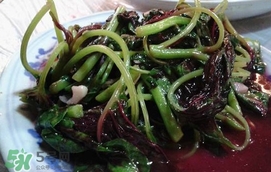 汗菜怎么摘？汗菜怎么擇