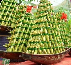 富貴竹有幾個品種？富貴竹有種子嗎？
