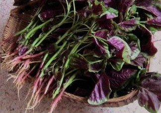 汗菜是發(fā)物嗎？汗菜是不是發(fā)物嗎