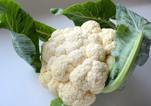 西蘭花是花菜嗎？西蘭花是菜花嗎