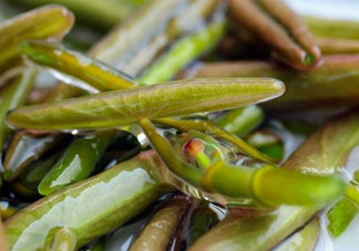 莼菜怎么做？莼菜怎么做好吃？