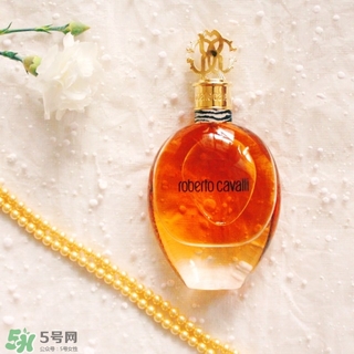 roberto cavalli是什么牌子？羅伯托卡沃利是幾線什么檔次？