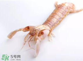 皮皮蝦什么時候有籽？皮皮蝦幾月份有籽？