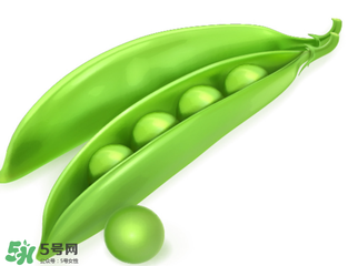 荷蘭豆能生吃嗎？荷蘭豆生的可以吃嗎？