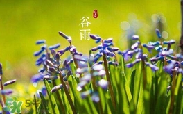 谷雨養(yǎng)生吃什么？谷雨養(yǎng)生常識(shí)