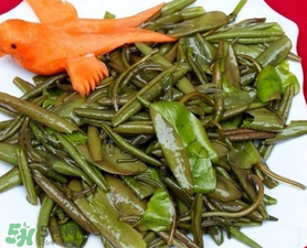 莼菜是什么菜？莼菜是荷葉嗎？