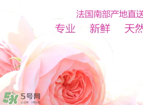 rossi rossa面膜怎么樣？rossi rossa珞珞莊園面膜好不好？