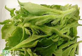 ?冰菜多少錢一斤？? 今年冰菜多少錢一斤？