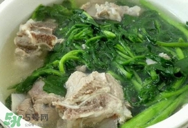 西洋菜是什么菜？西洋菜是什么樣的