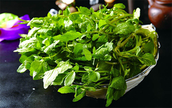 西洋菜怎么摘洗？西洋菜怎么洗才干凈