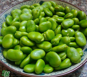 蠶豆多少錢一斤？蠶豆多少錢一斤2017？