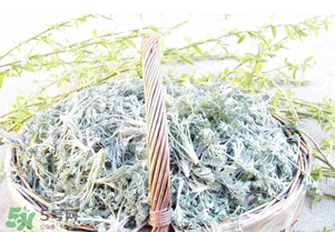 白蒿要焯水嗎？白蒿要不要焯水？