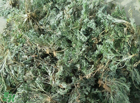 白蒿多少錢一斤？白蒿的價(jià)格