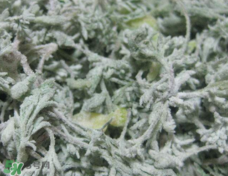 白蒿不能和什么一起吃？白蒿不能與什么同食？