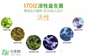 益生菌哪個牌子好？哪個牌子的益生菌好？