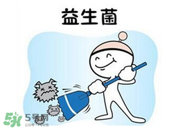 益生菌哪個牌子好？哪個牌子的益生菌好？