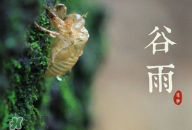 谷雨養(yǎng)生吃什么？谷雨養(yǎng)生常識(shí)