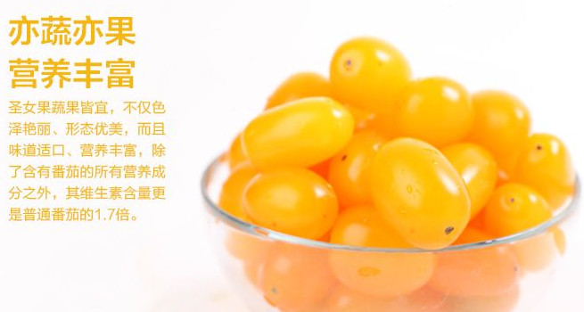 圣女果能減肥嗎？圣女果可以減肥嗎