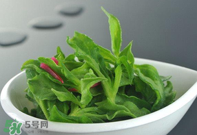 冰草可以放冰箱嗎？冰草能用冰塊保存嗎？