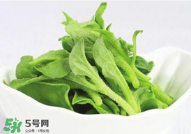 冰草多少錢一斤？非洲冰草多少錢一斤？