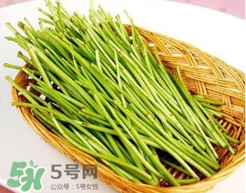 蘆蒿與茼蒿有什么區(qū)別？蘆蒿和茼蒿的區(qū)別