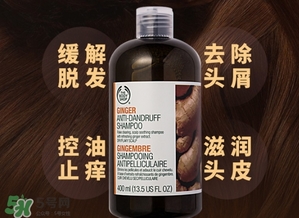 美體小鋪生姜洗發(fā)水怎么樣？the body shop生姜洗發(fā)水使用心得
