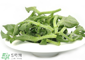 ?冰草為什么會(huì)酸？冰草為什么是酸的？