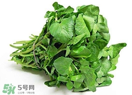 哺乳期能吃西洋菜嗎？哺乳期可以吃西洋菜嗎