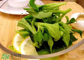 冰草用什么醬？冰草用什么醬好吃？