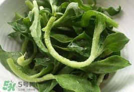 冰菜為什么會(huì)酸？冰菜為什么是咸的？