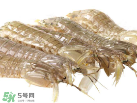 蝦爬子什么季節(jié)最肥？蝦爬子幾月份最肥？