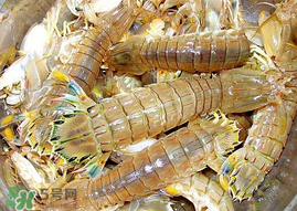 蝦爬子能冷凍嗎？蝦爬子可以冷藏嗎？