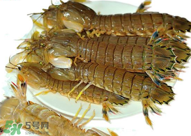 蝦爬子能冷凍嗎？蝦爬子可以冷藏嗎？